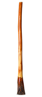 Ironbark Didgeridoo (IB210)